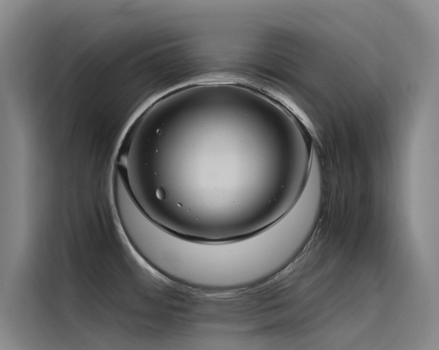 X0000116101484200911231115