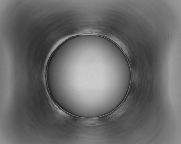 X0000116101486200911231115