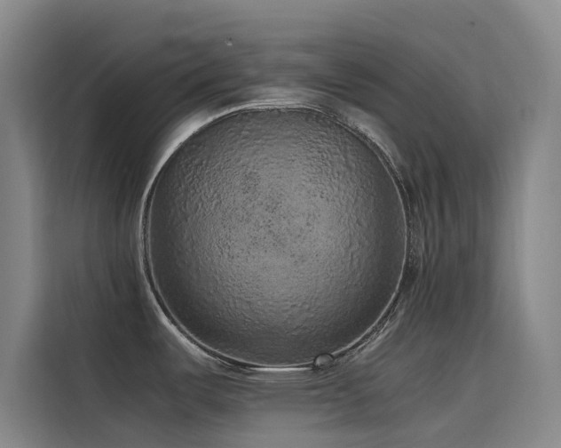 X0000116101487200911231115