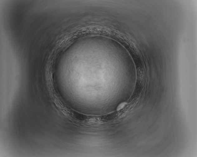 X0000116101489200911231115