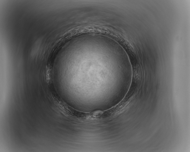 X0000116101490200911231115