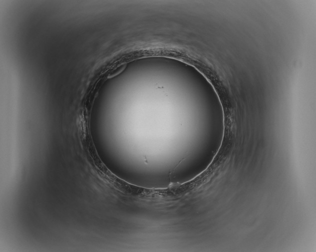 X0000116101493200911231115