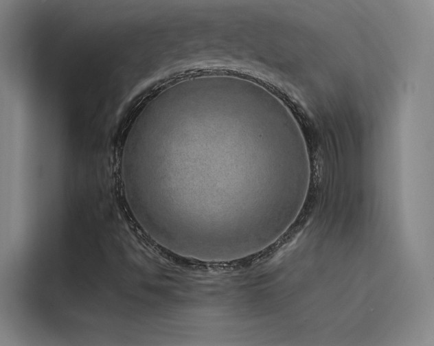 X0000116101494200911231115