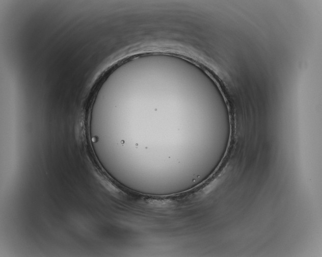 X0000116101498200911231115