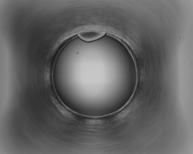 X0000116101499200911231115