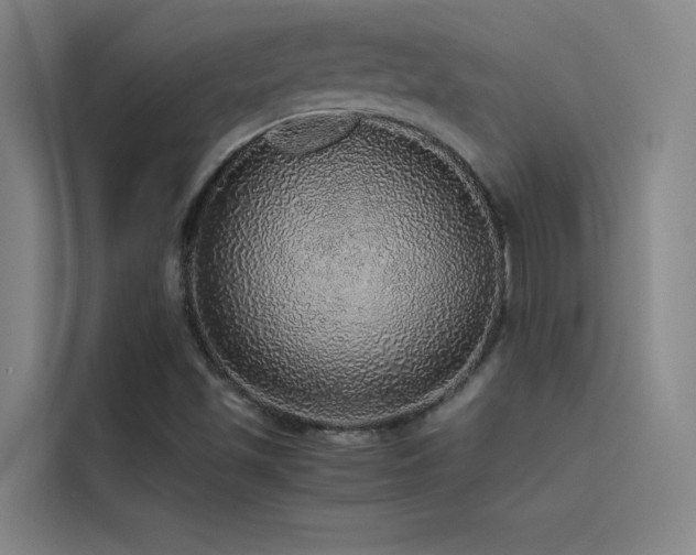 X0000116101501200911231115