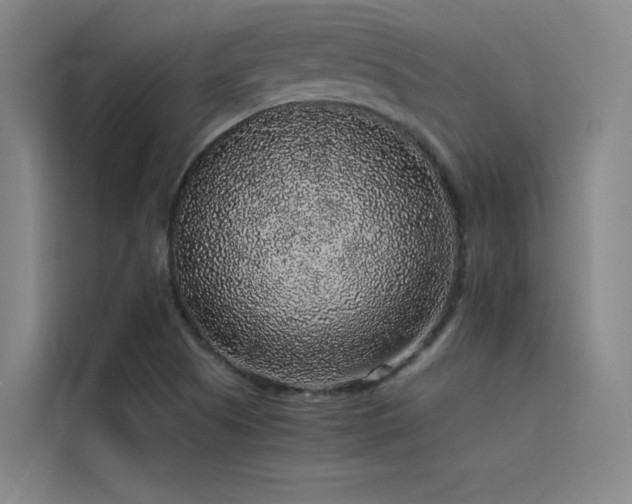 X0000116101505200911231115