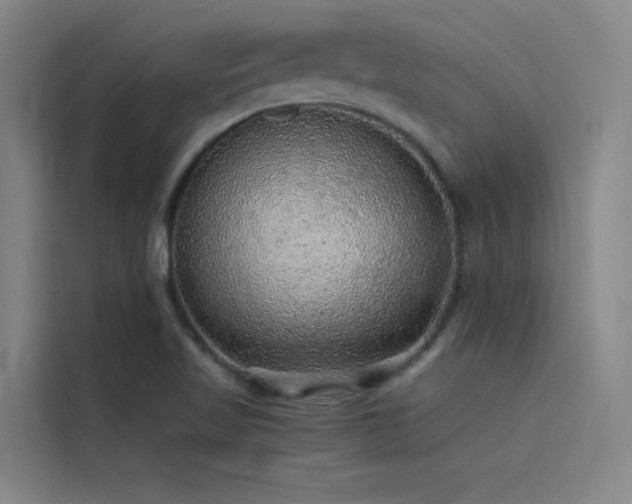 X0000116101509200911231115