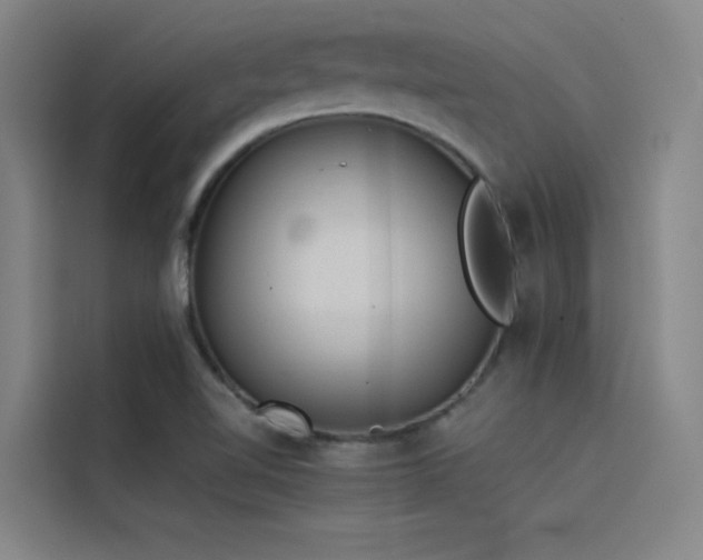 X0000116101510200911231115
