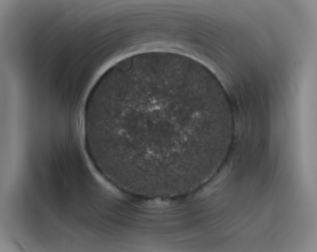 X0000116101515200911231115