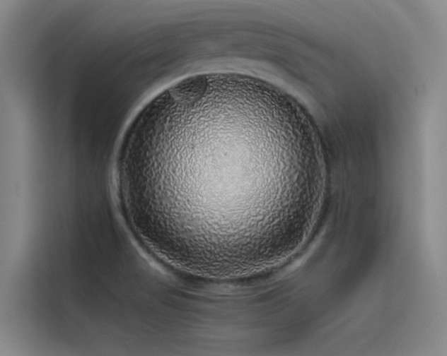 X0000116101517200911231115