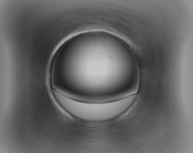 X0000116101518200911231115