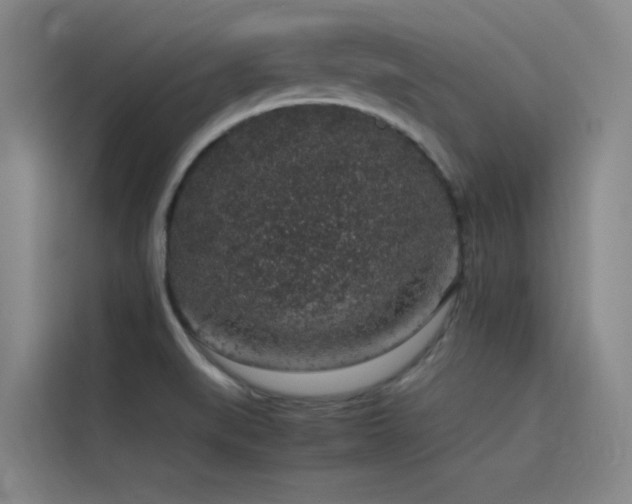 X0000116101519200911231115
