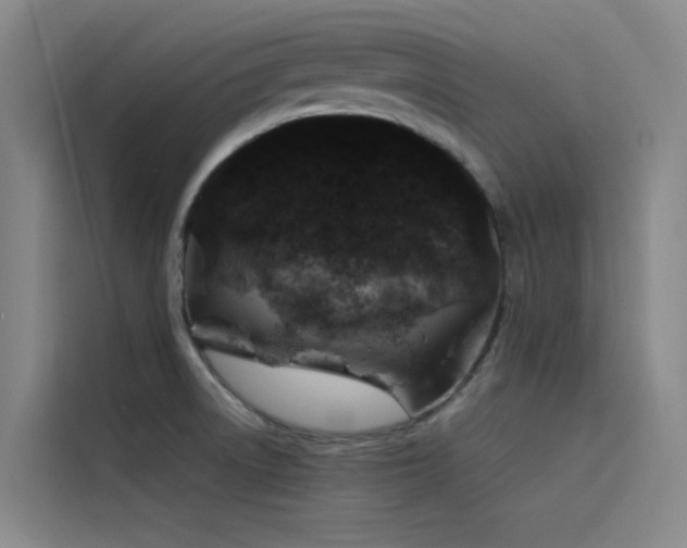 X0000116101522200911231115