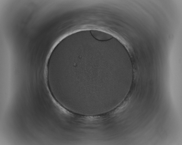 X0000116101527200911231115