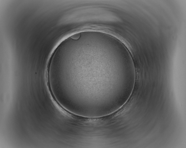 X0000116101531200911231115