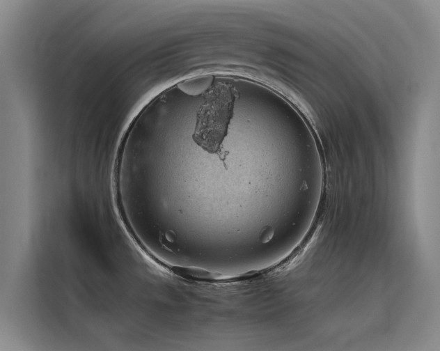 X0000116101533200911231115