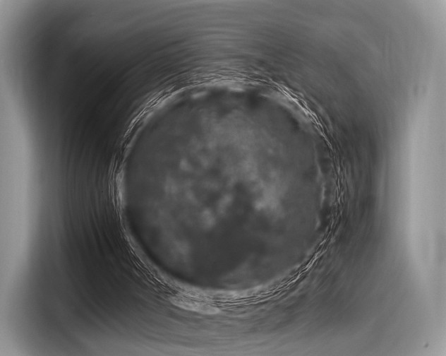 X0000116100002200911301112