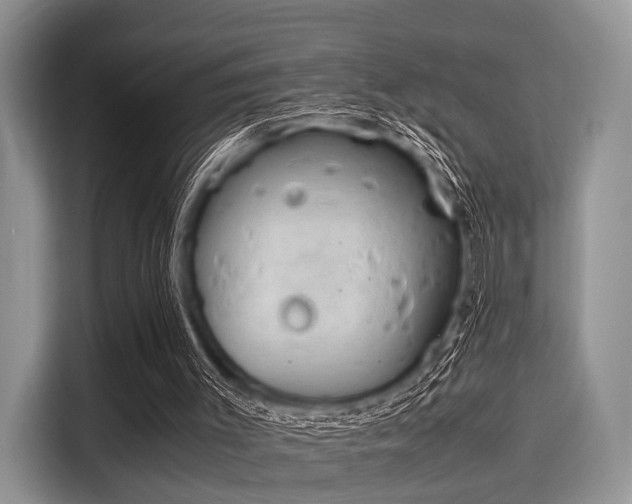 X0000116100003200911301112