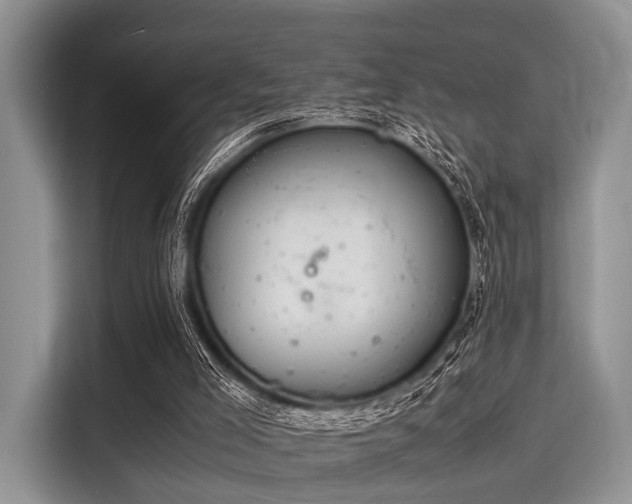 X0000116100005200911301112