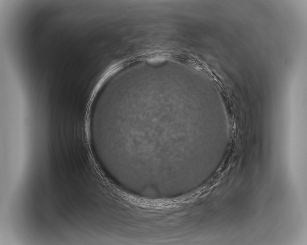 X0000116100006200911301112