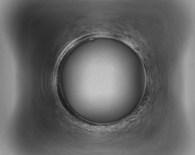 X0000116100007200911301112