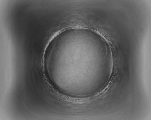 X0000116100008200911301112