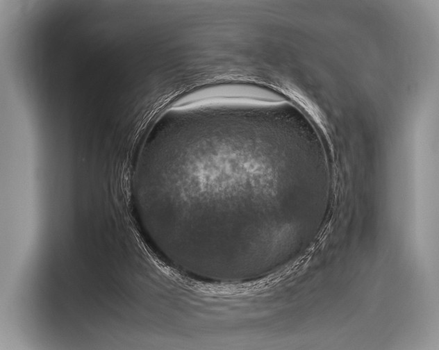 X0000116100009200911301112