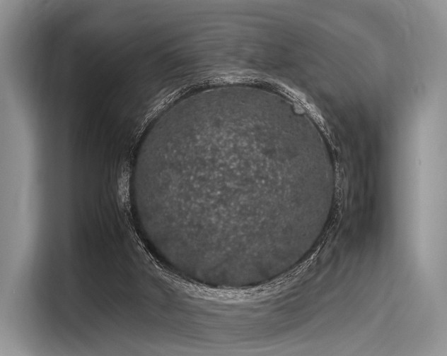 X0000116100010200911301112