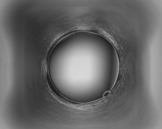 X0000116100011200911301112