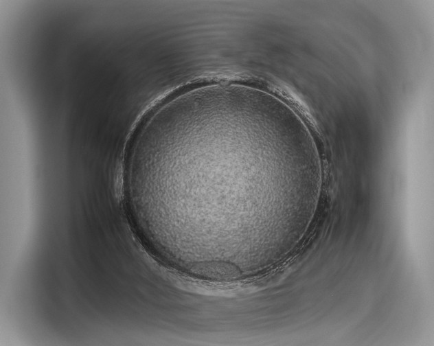 X0000116100012200911301112