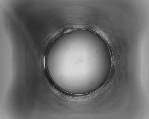 X0000116100013200911301112