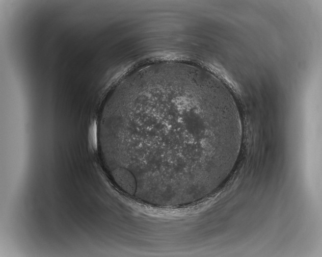 X0000116100014200911301112