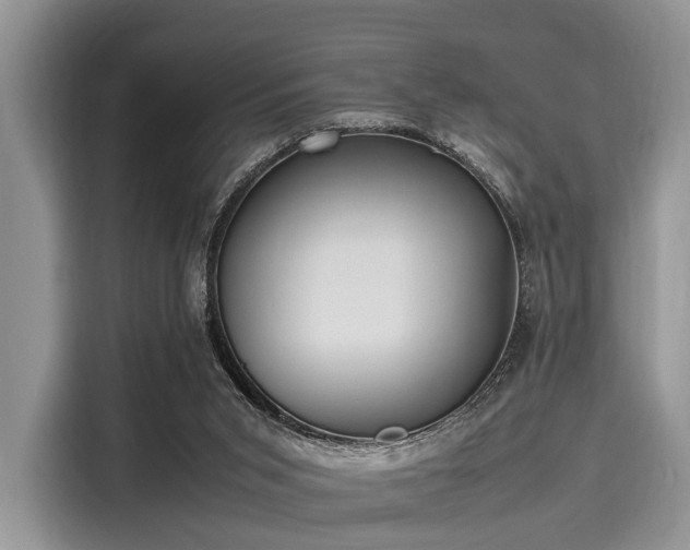 X0000116100015200911301112