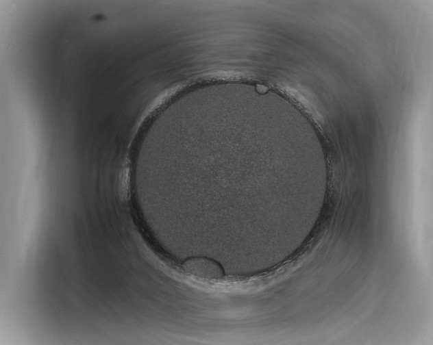 X0000116100016200911301112