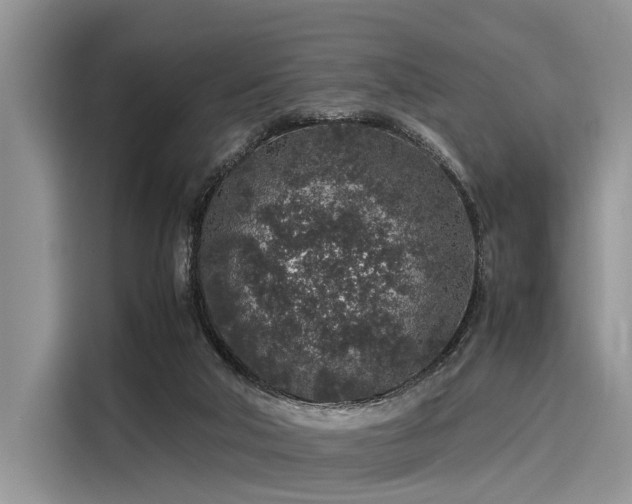 X0000116100018200911301112