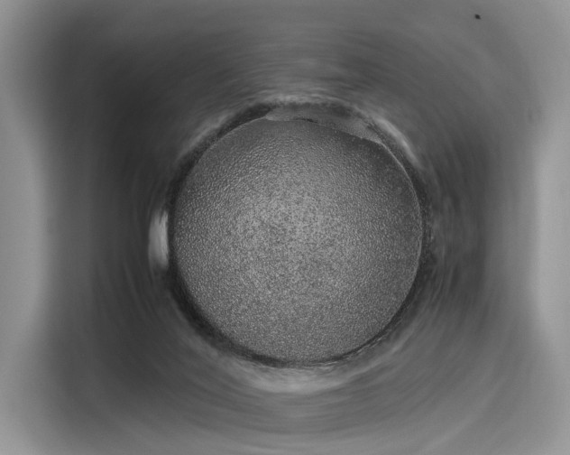 X0000116100020200911301112