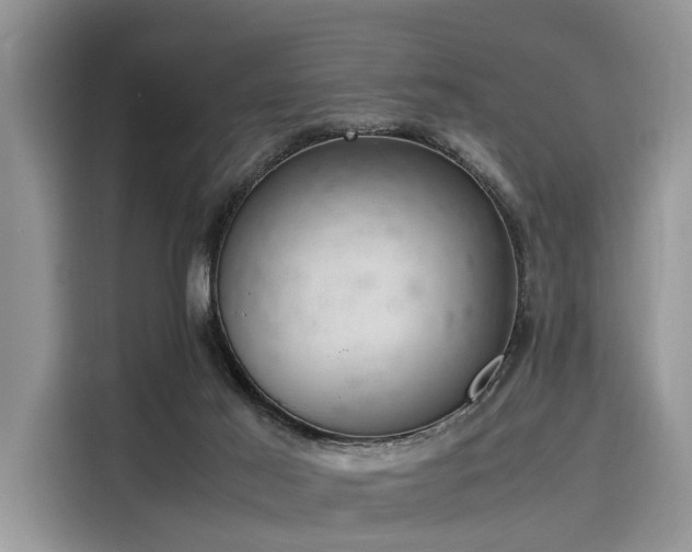 X0000116100021200911301112