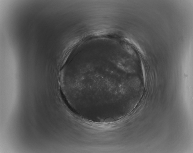 X0000116100023200911301112