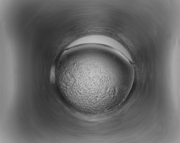 X0000116100028200911301112