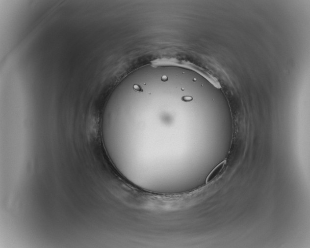 X0000116100033200911301111