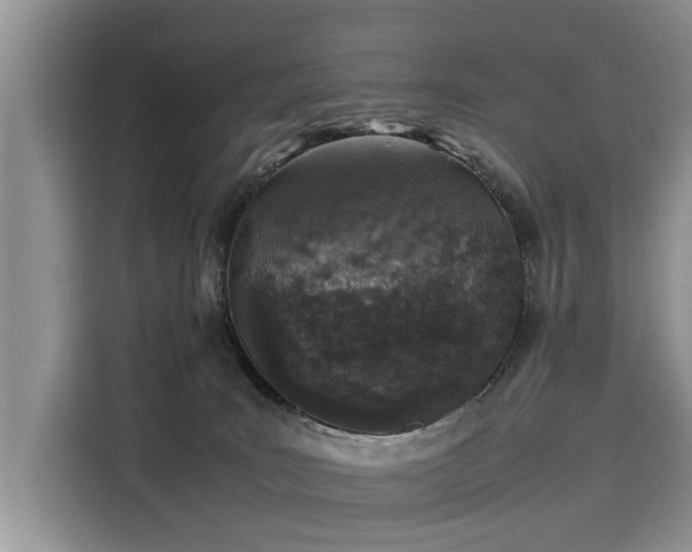 X0000116100035200911301111