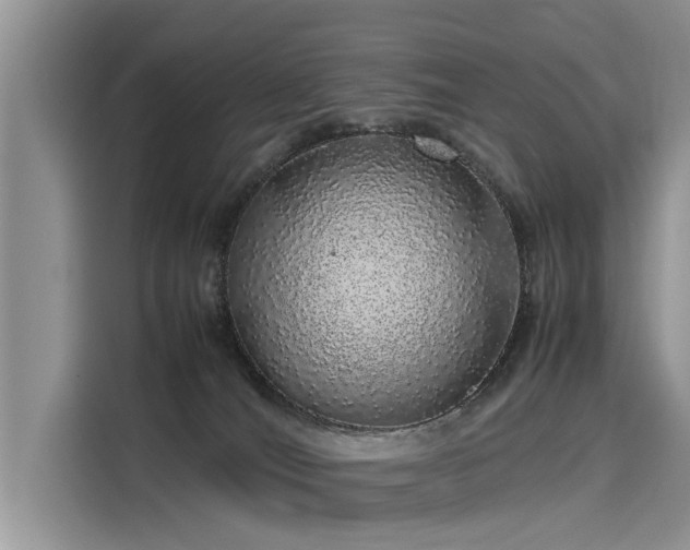 X0000116100036200911301111