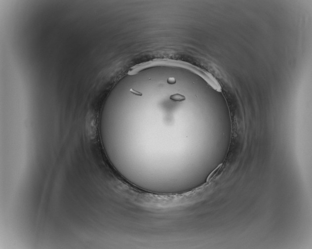 X0000116100037200911301111