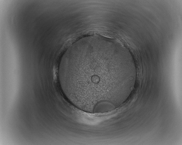 X0000116100038200911301111