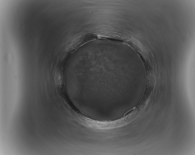 X0000116100039200911301111