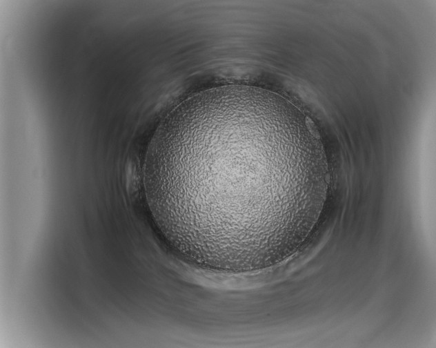 X0000116100040200911301111