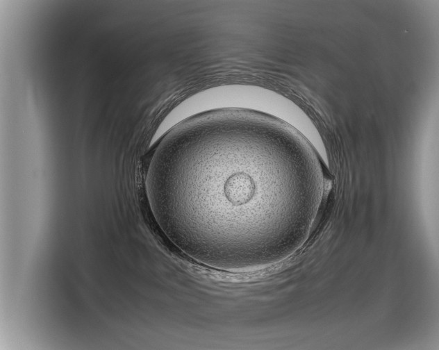 X0000116100043200911301111