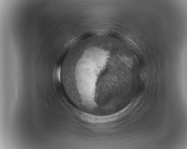 X0000116100047200911301111