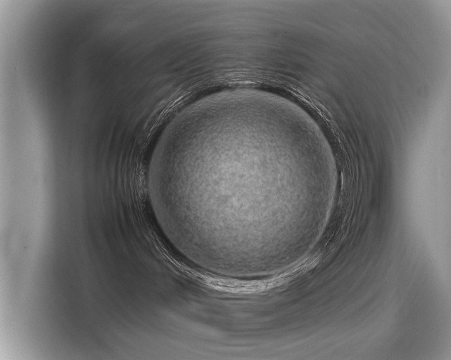 X0000116100048200911301111